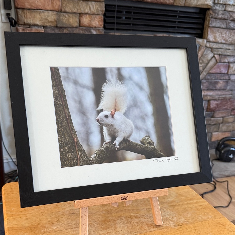Framed “Ghost Squirrel” Photo